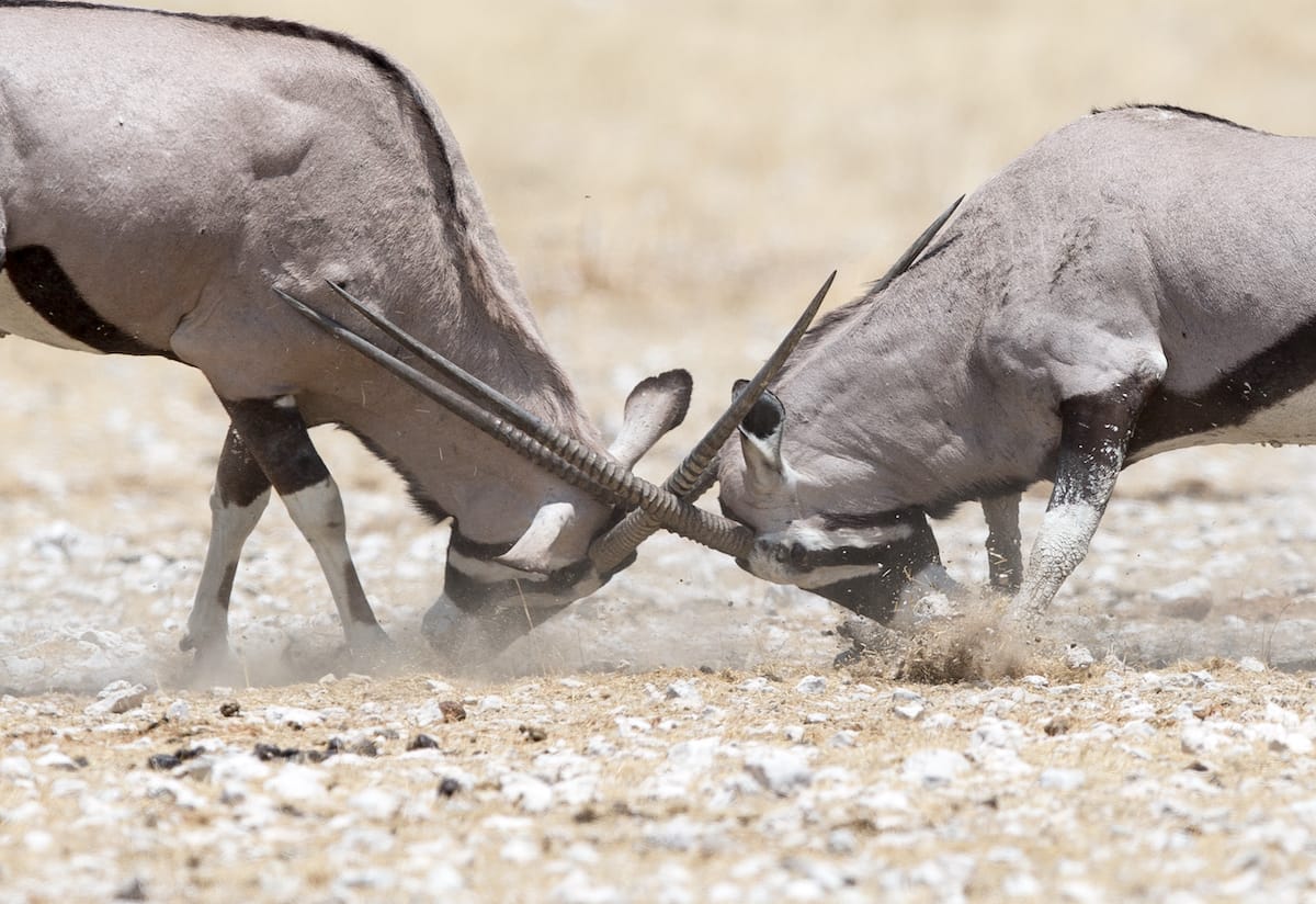 NAMIBIA