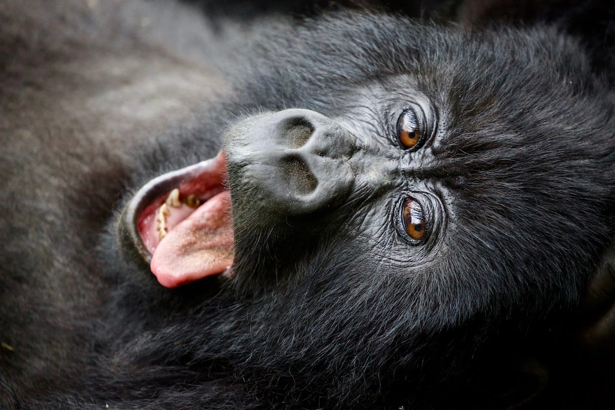 RWANDA