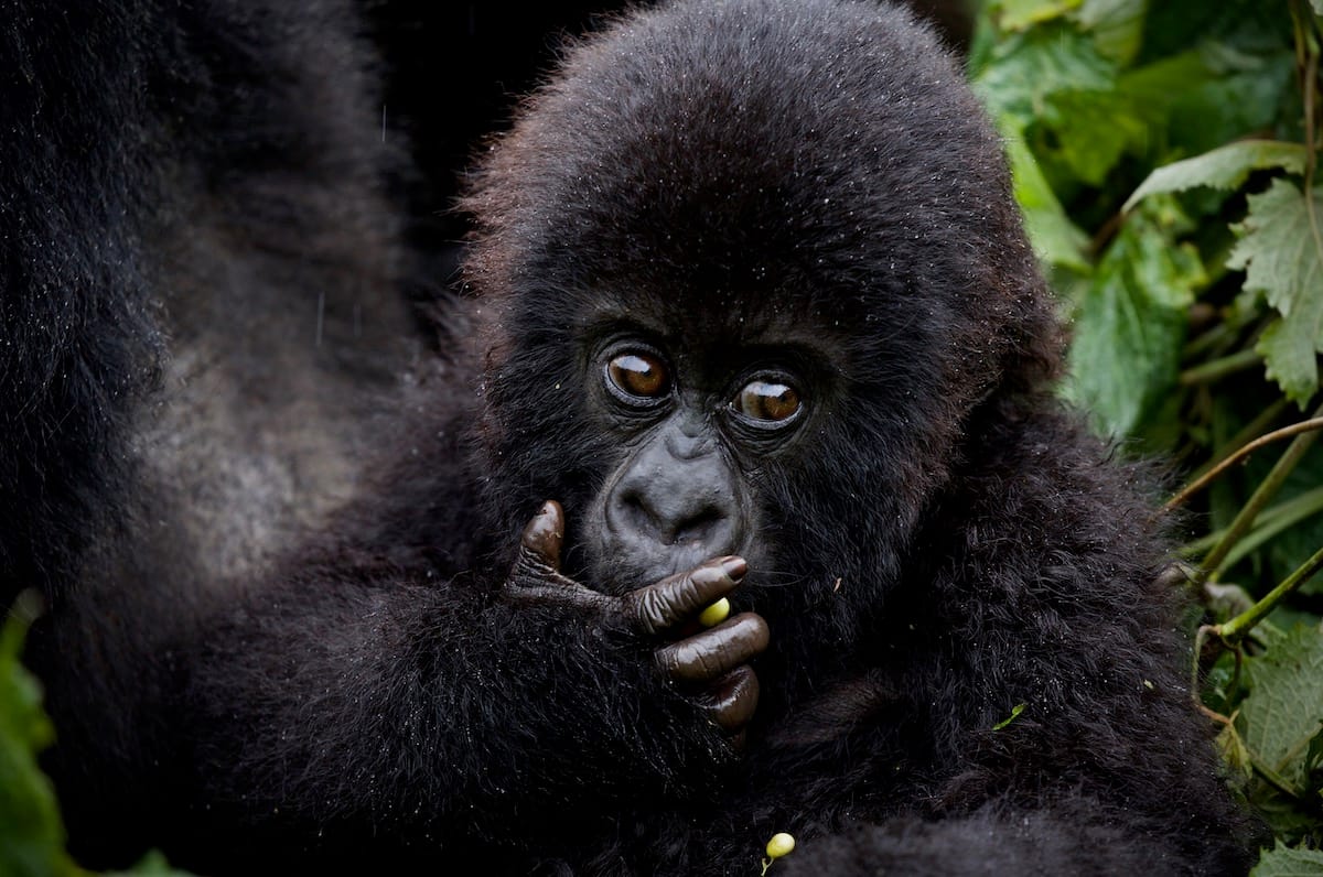 RWANDA