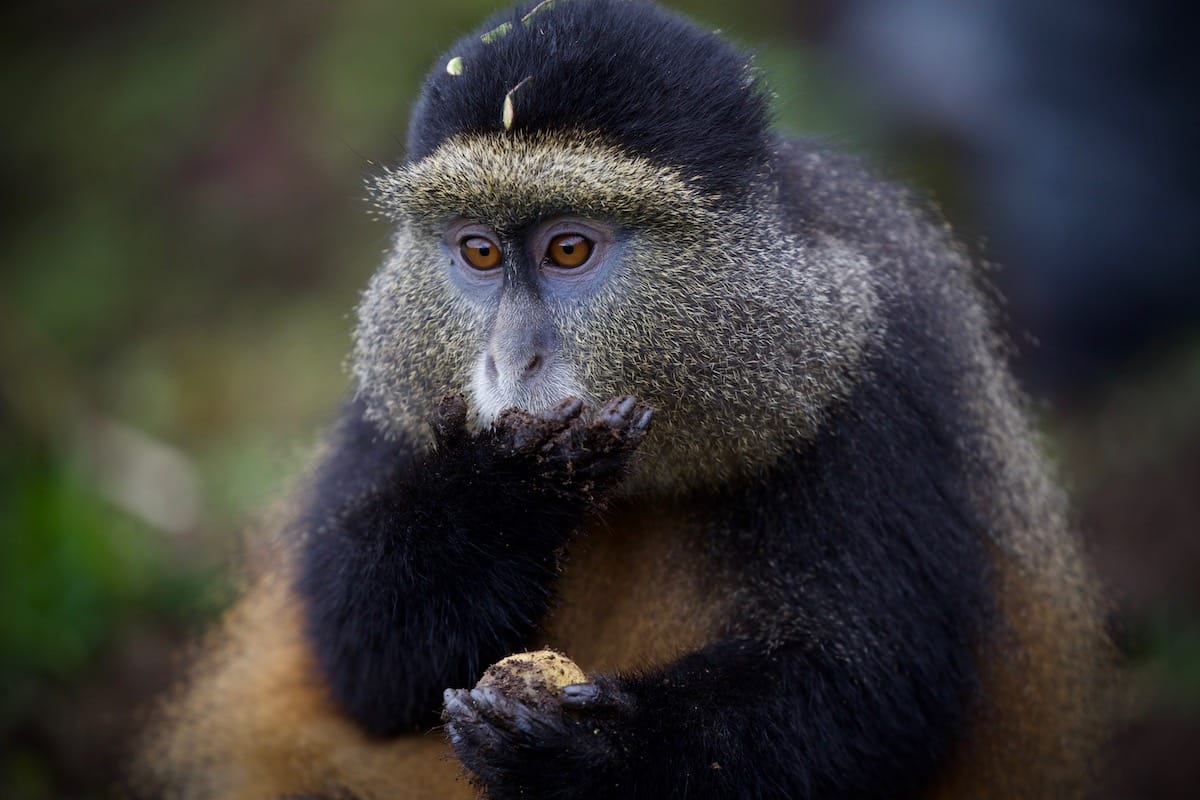 RWANDA