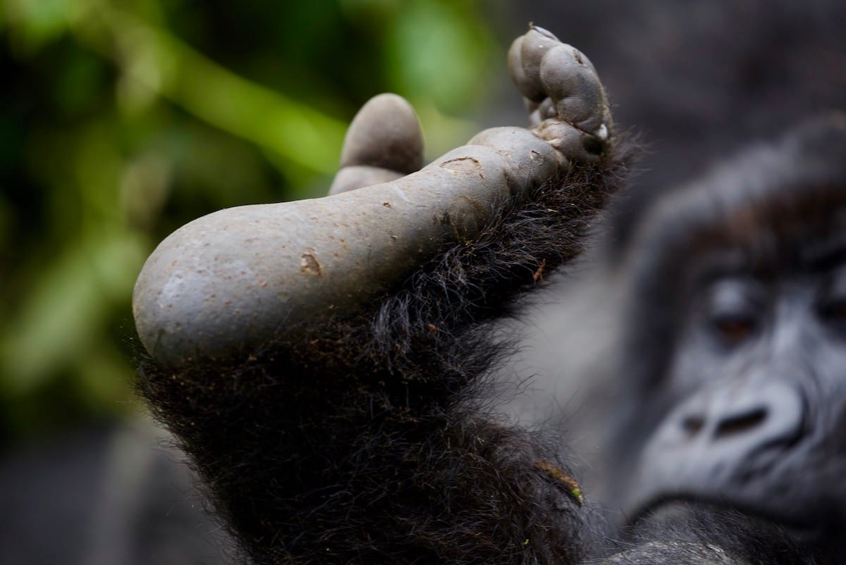 RWANDA