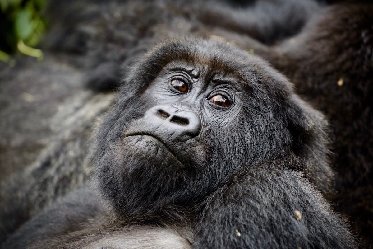 RWANDA