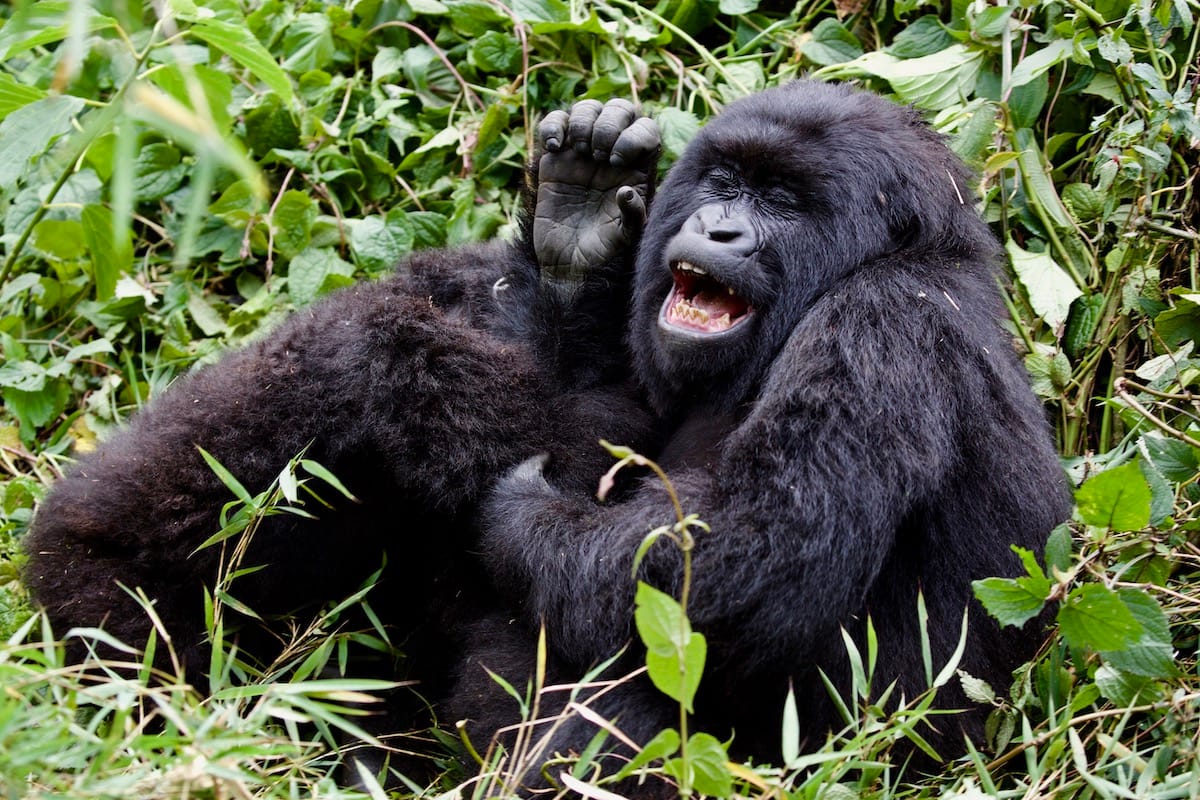 RWANDA