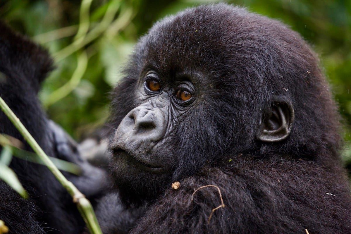 RWANDA