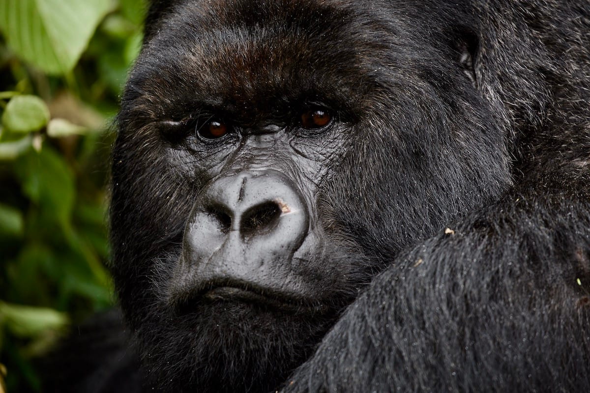 RWANDA