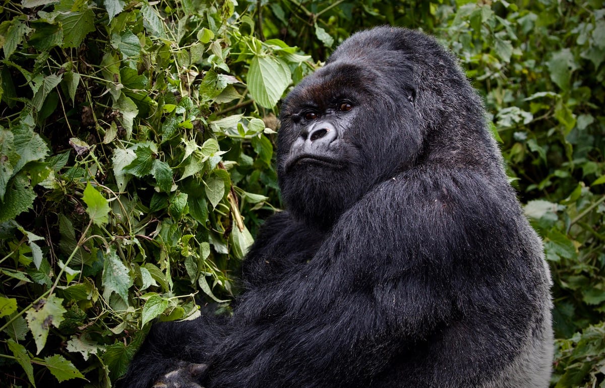 RWANDA