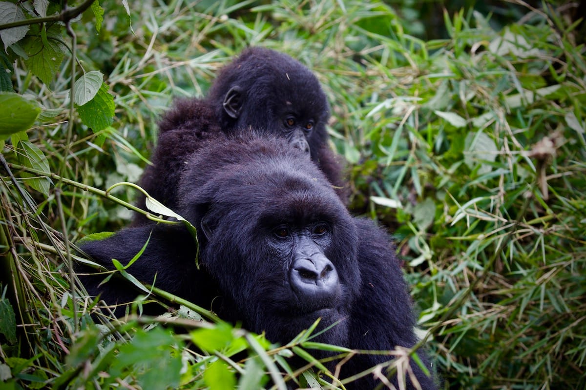 RWANDA