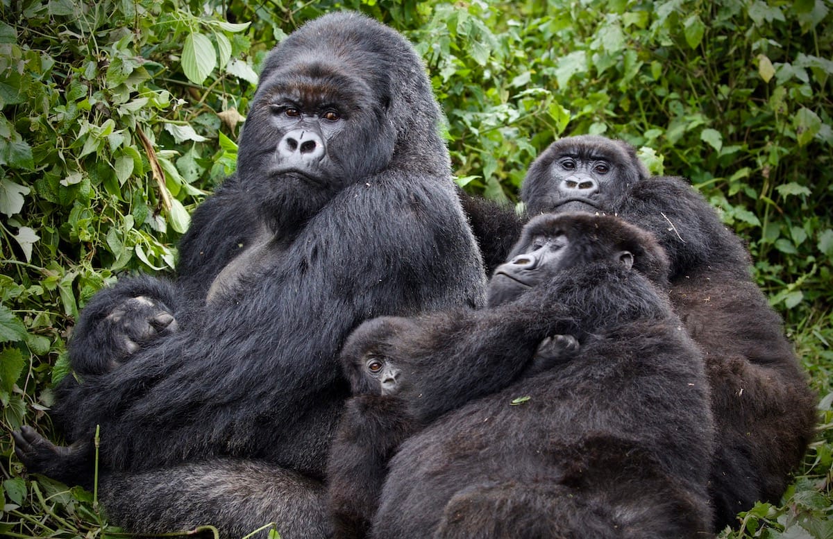 RWANDA