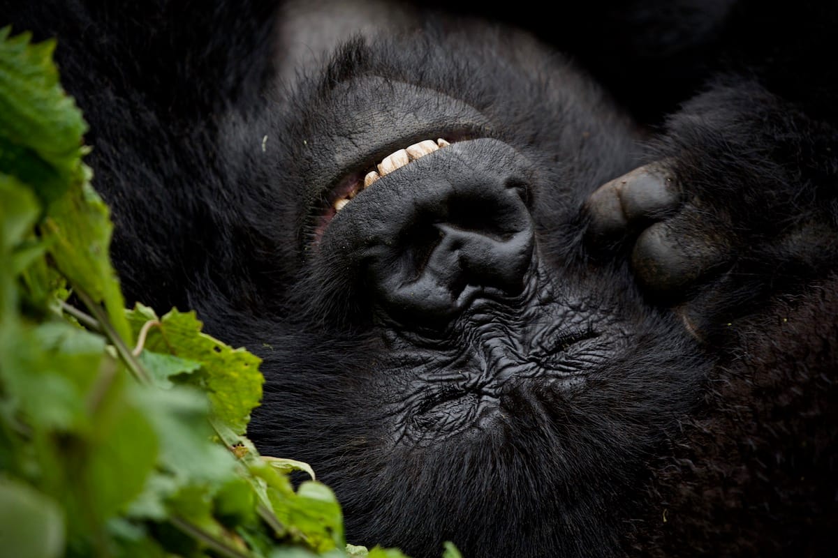 RWANDA