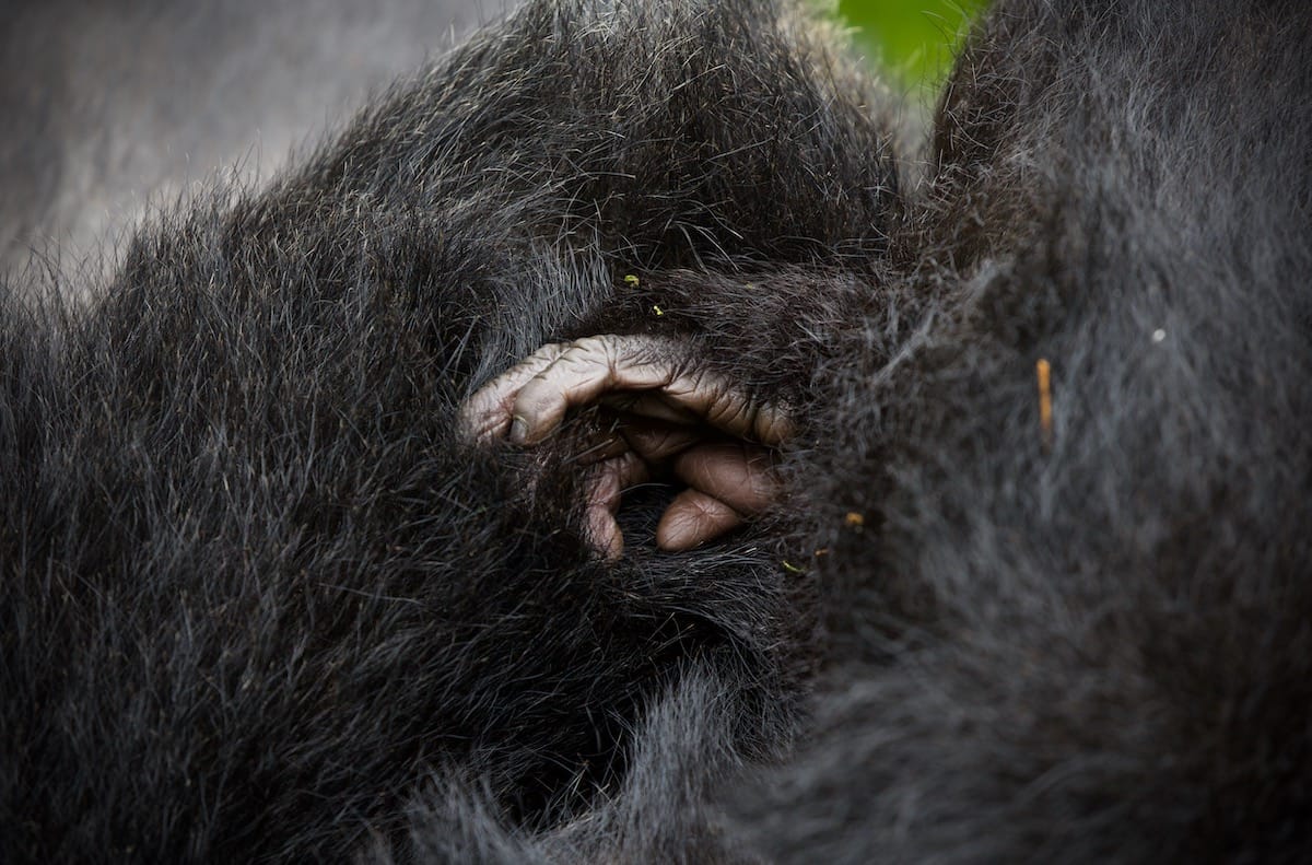 RWANDA