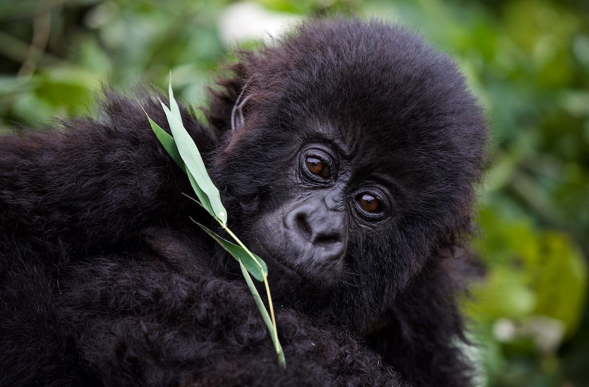 RWANDA