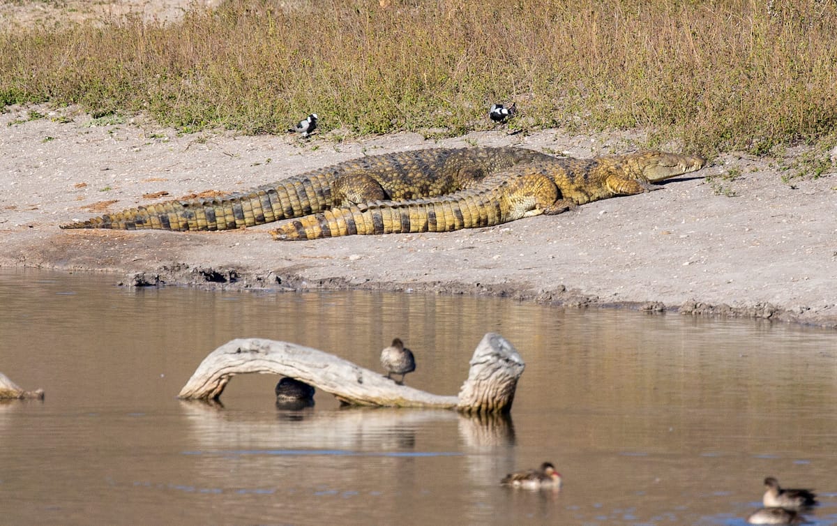 SOUTH AFRICA