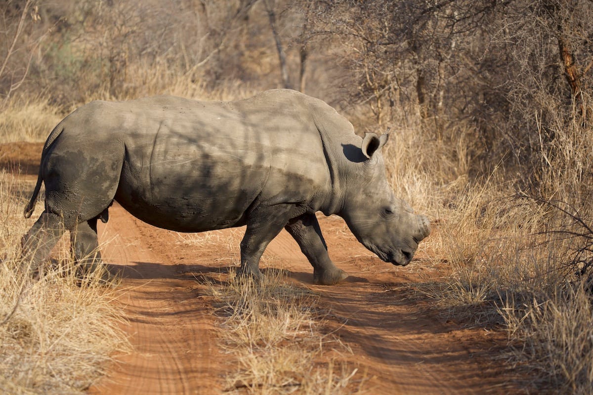 SOUTH AFRICA