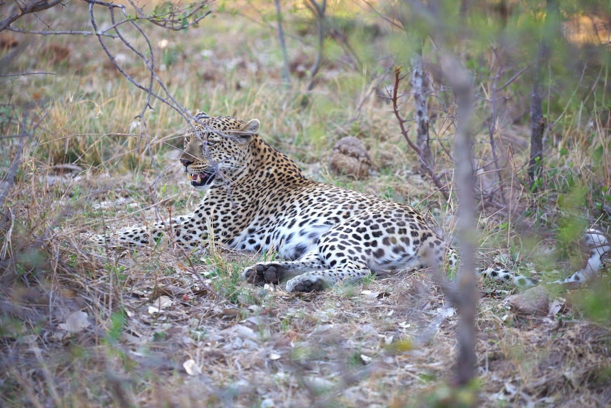 SOUTH AFRICA