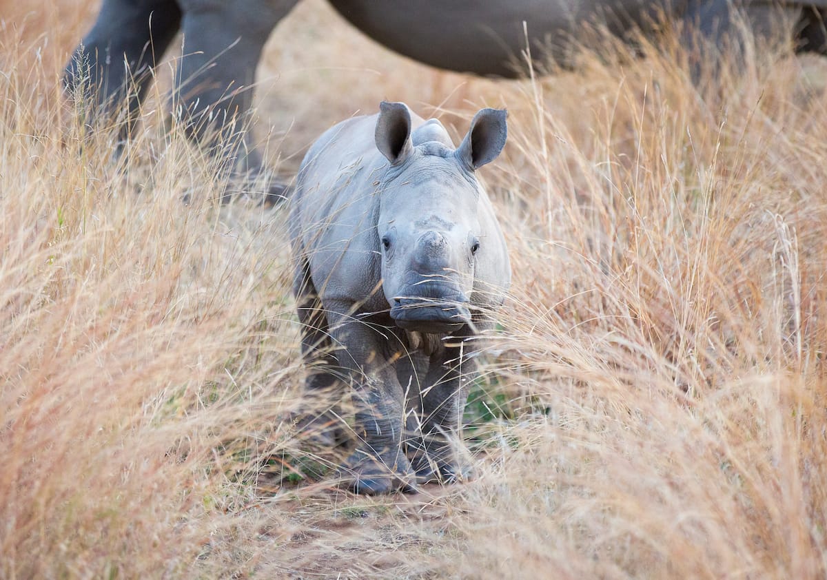 SOUTH AFRICA