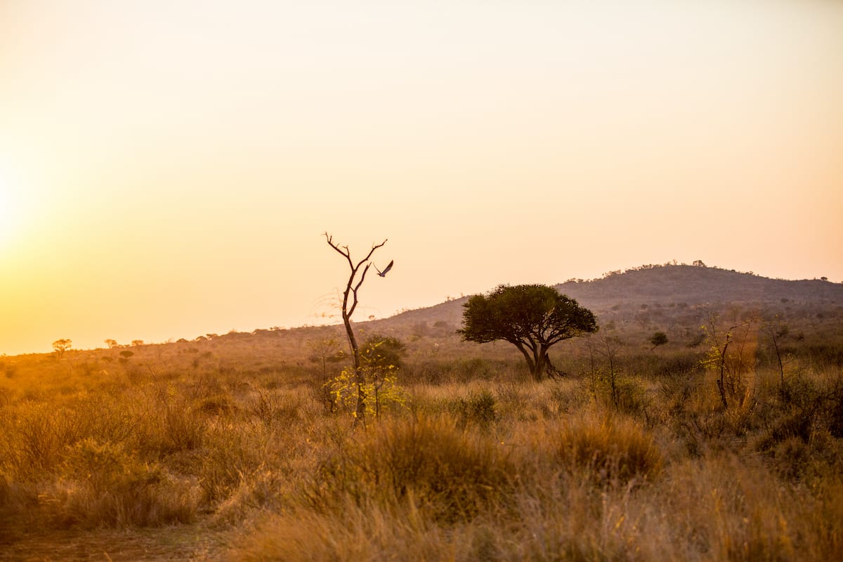 SOUTH AFRICA