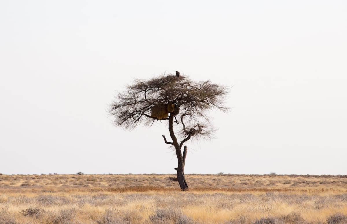 NAMIBIA