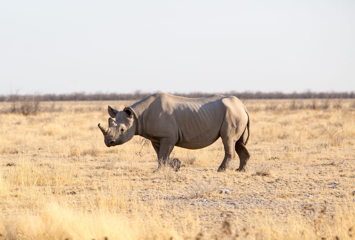 NAMIBIA