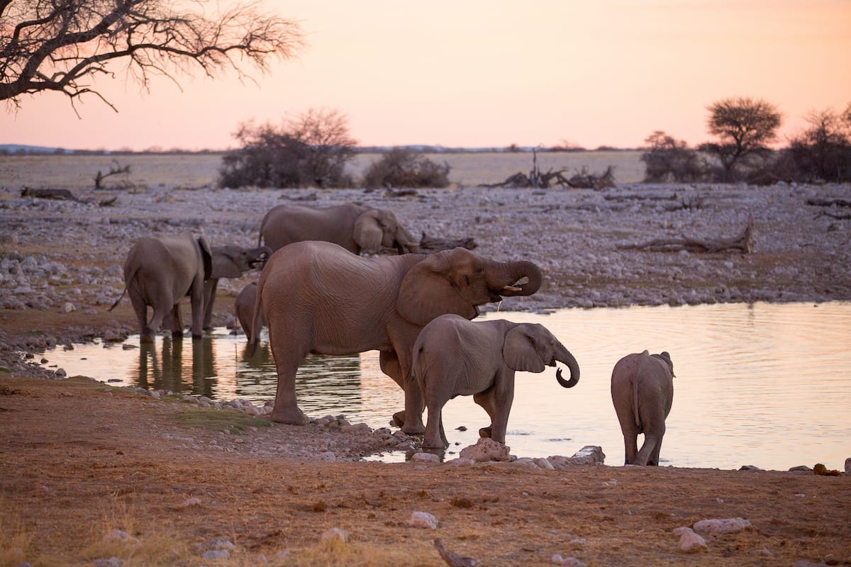 NAMIBIA