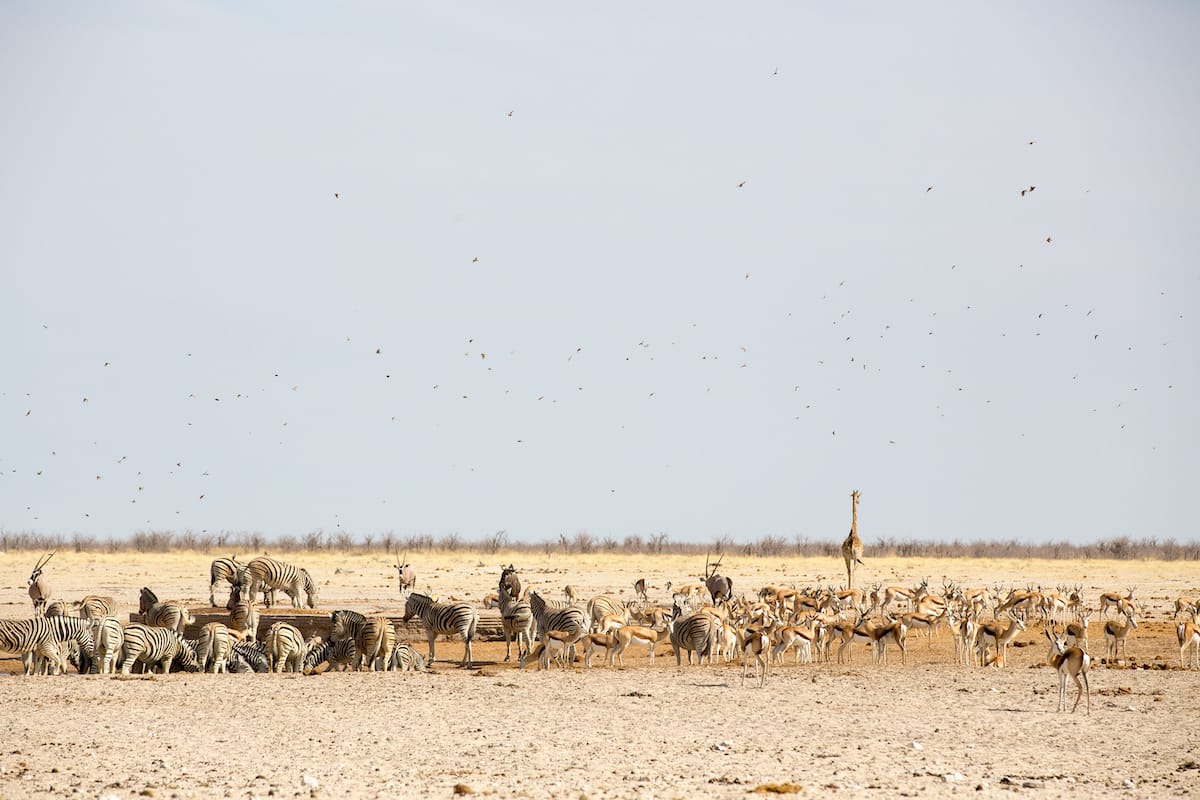 NAMIBIA