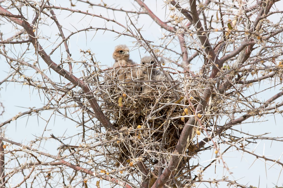 NAMIBIA