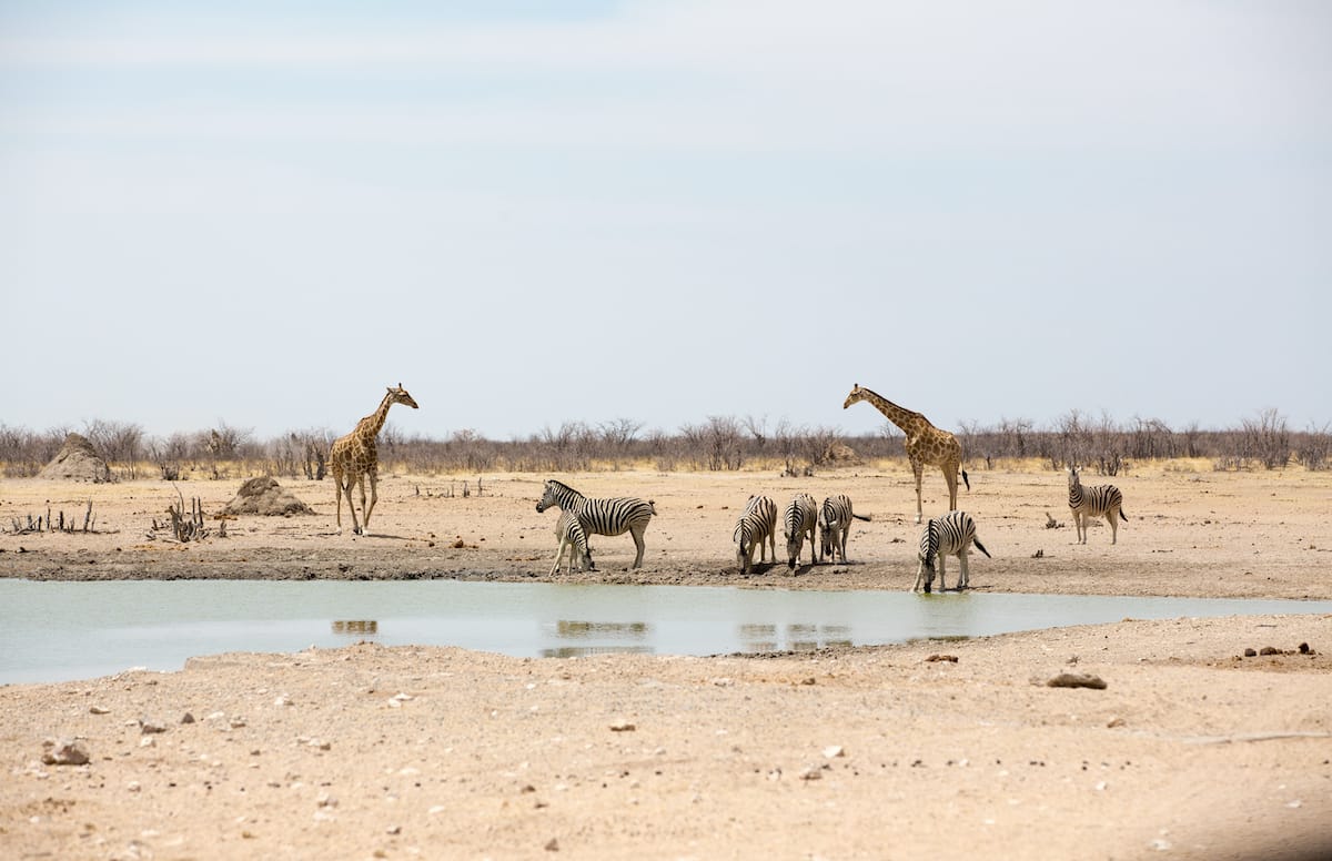 NAMIBIA