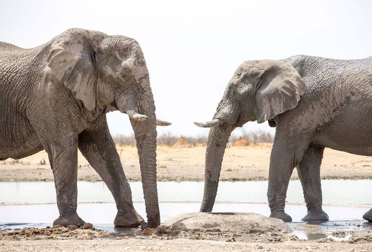 NAMIBIA