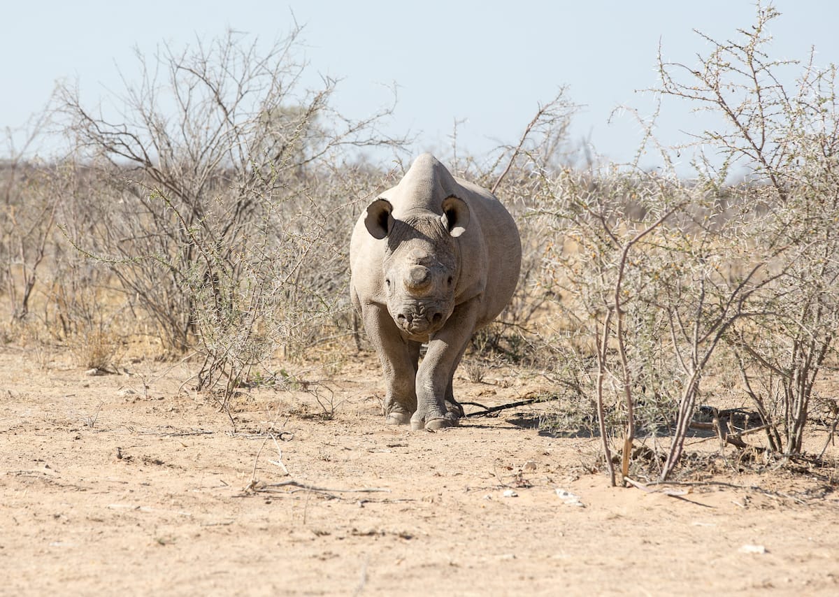 NAMIBIA