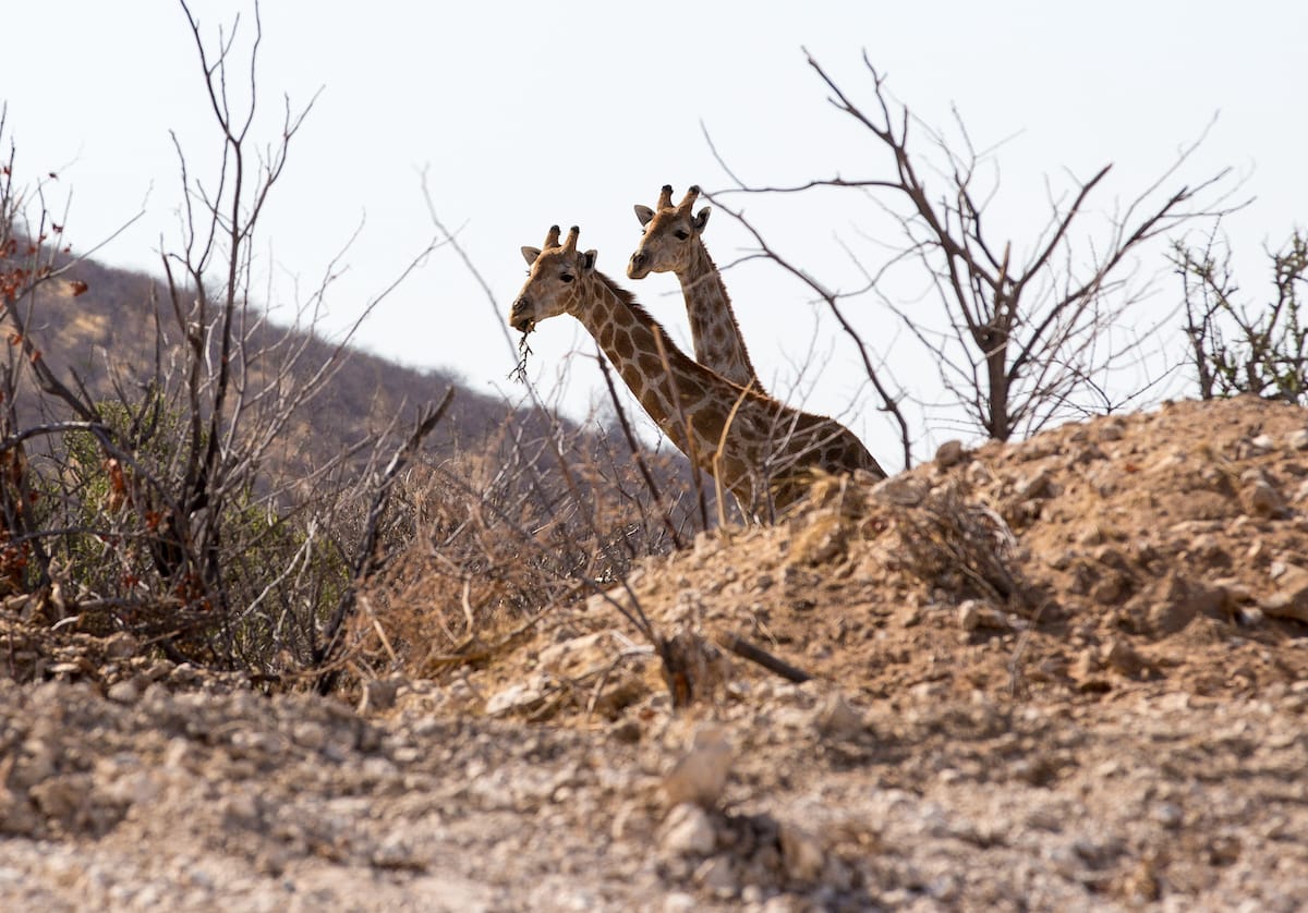 NAMIBIA