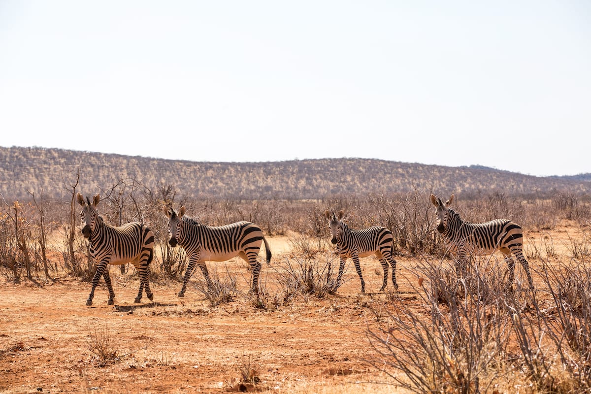 NAMIBIA