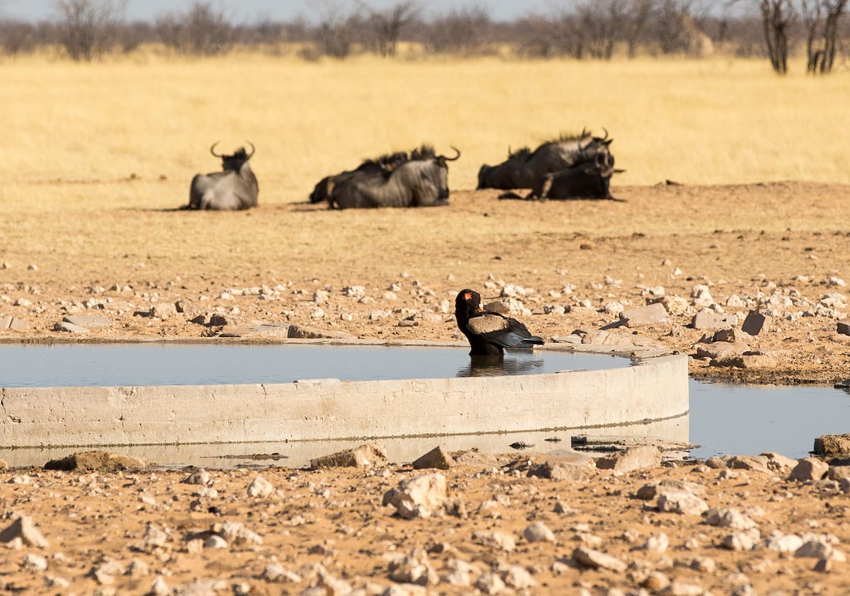 NAMIBIA
