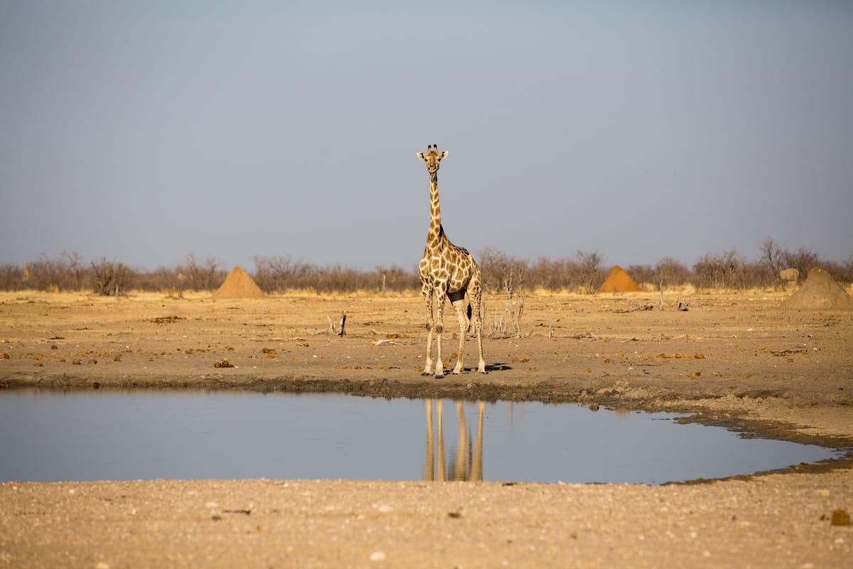 NAMIBIA