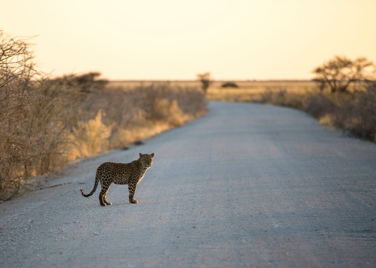 NAMIBIA