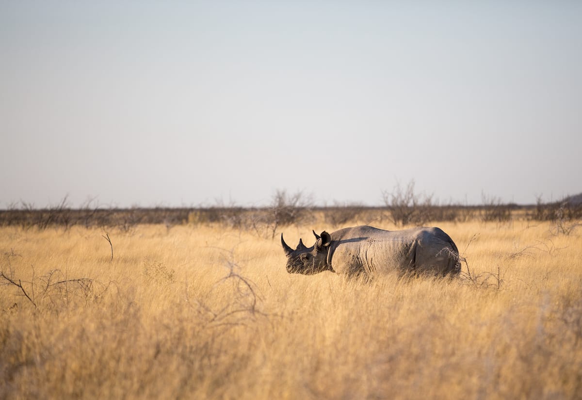 NAMIBIA