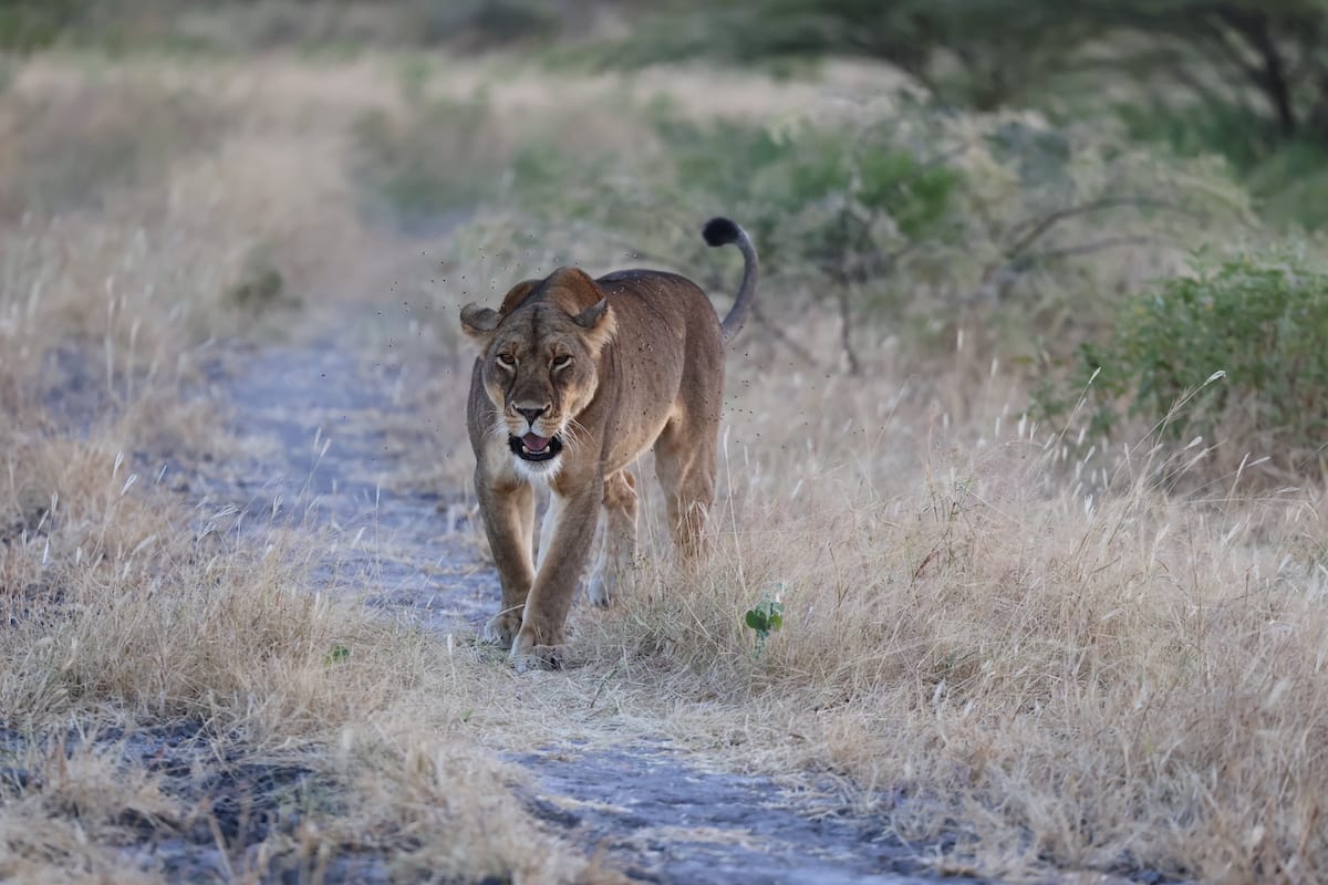 TANZANIA