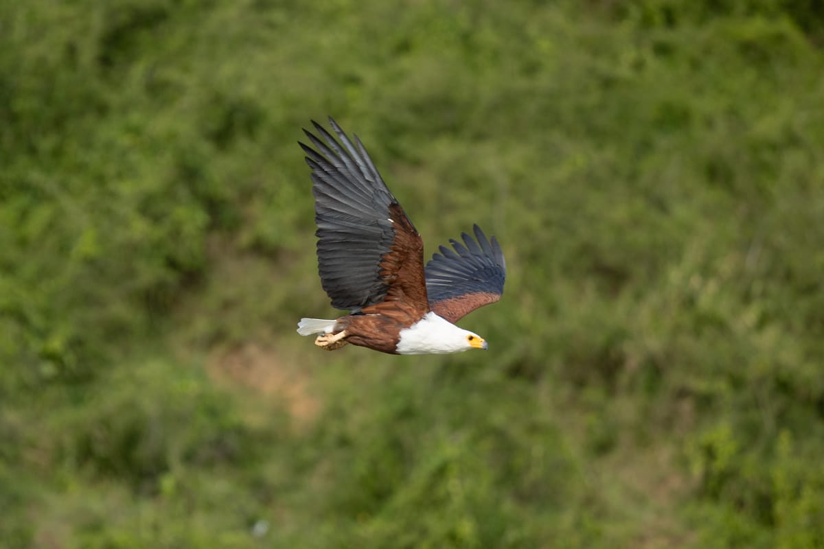 UGANDA