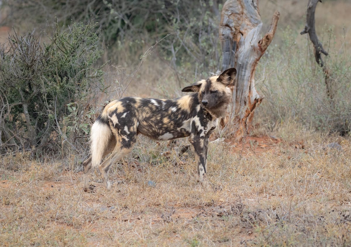 SOUTH AFRICA