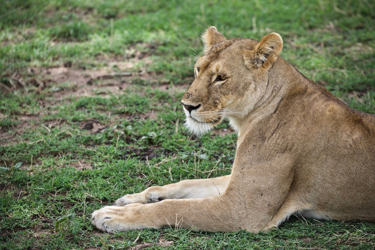 TANZANIA