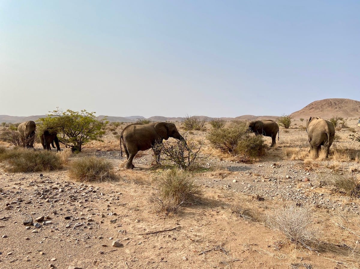 NAMIBIA — Dylan and Wendy Campbell