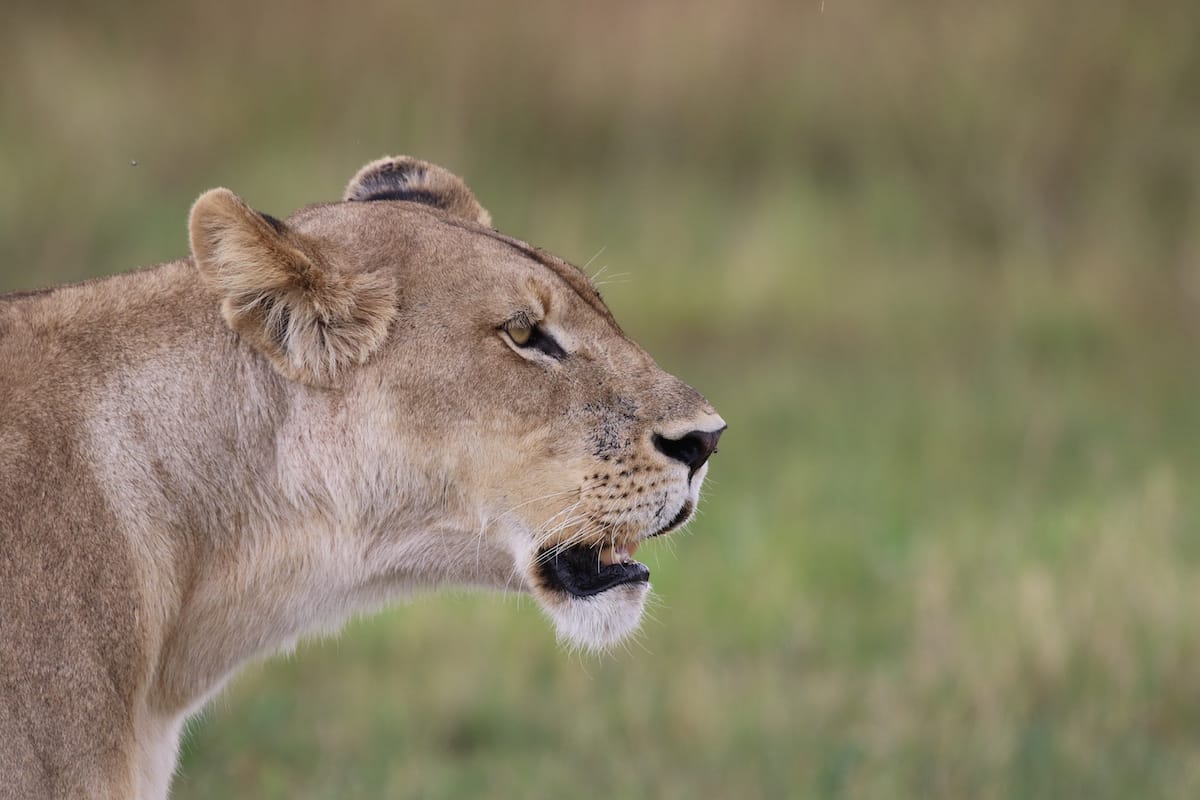 BOTSWANA