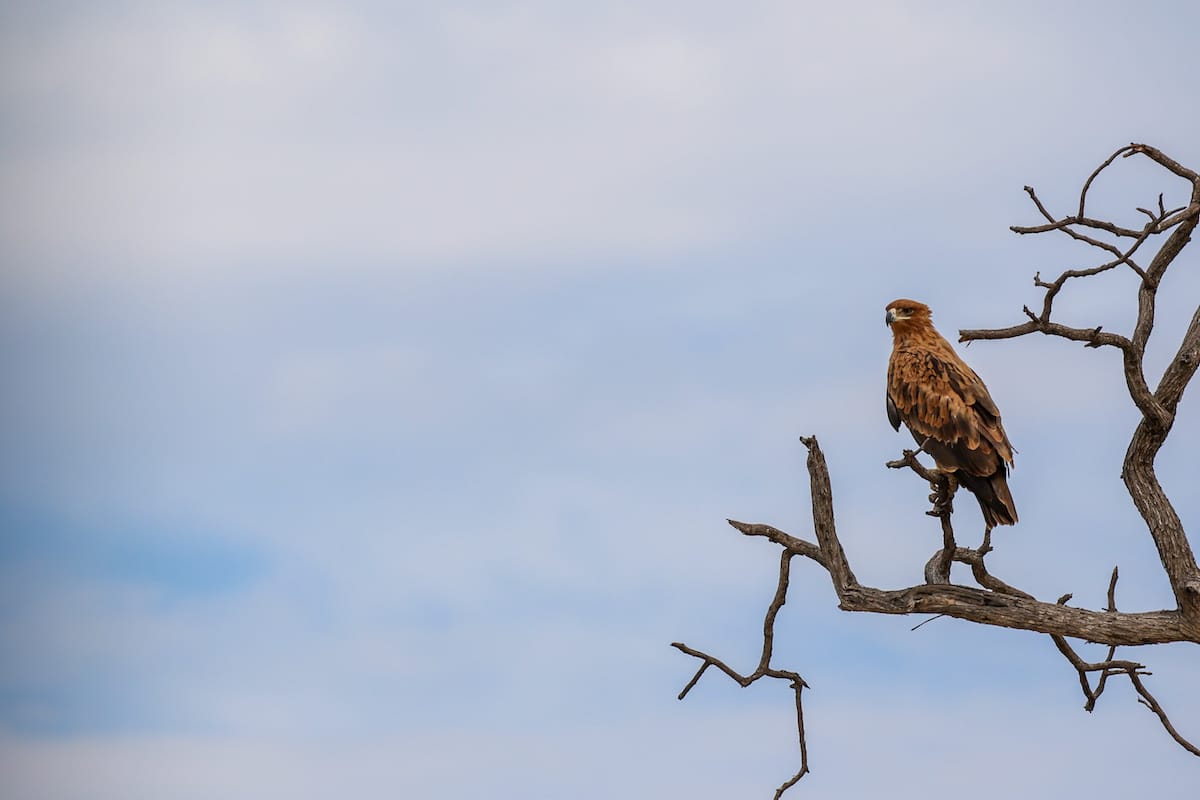 BOTSWANA