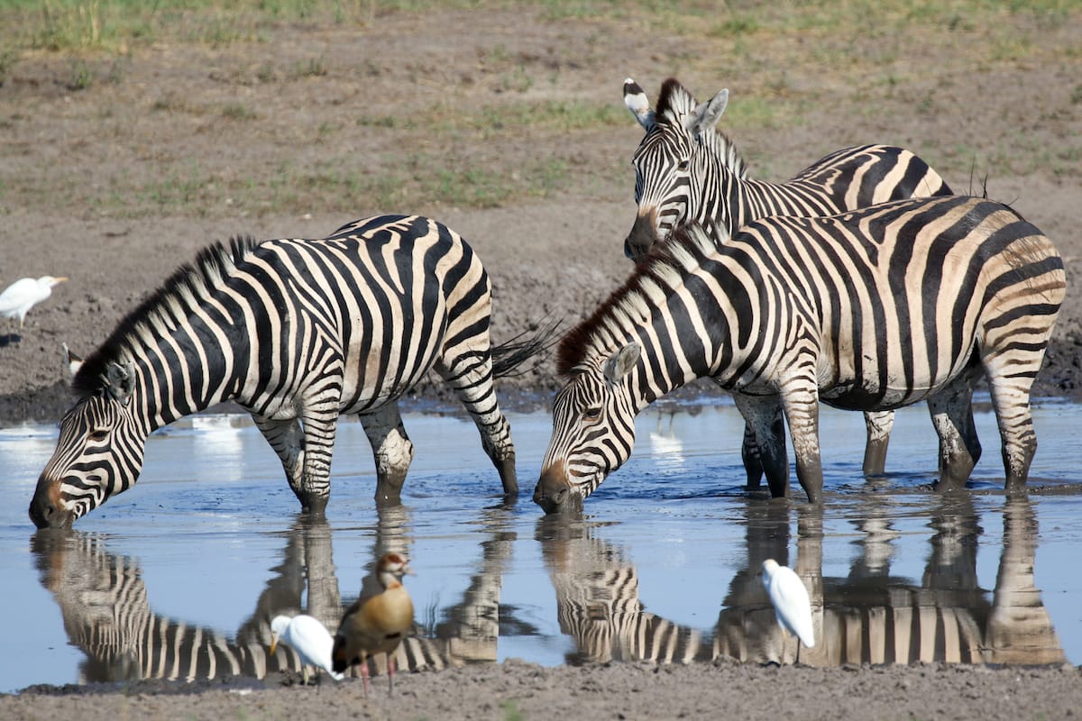 BOTSWANA