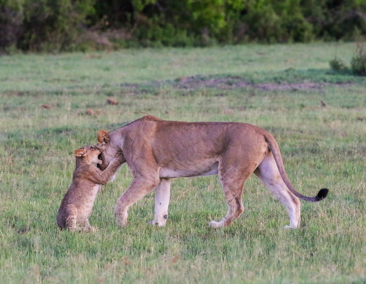 BOTSWANA