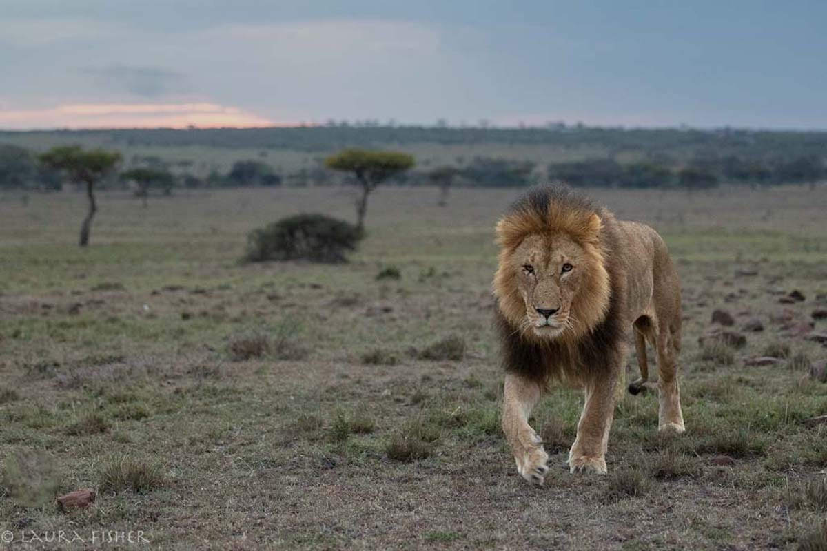 KENYA — Laura Fisher