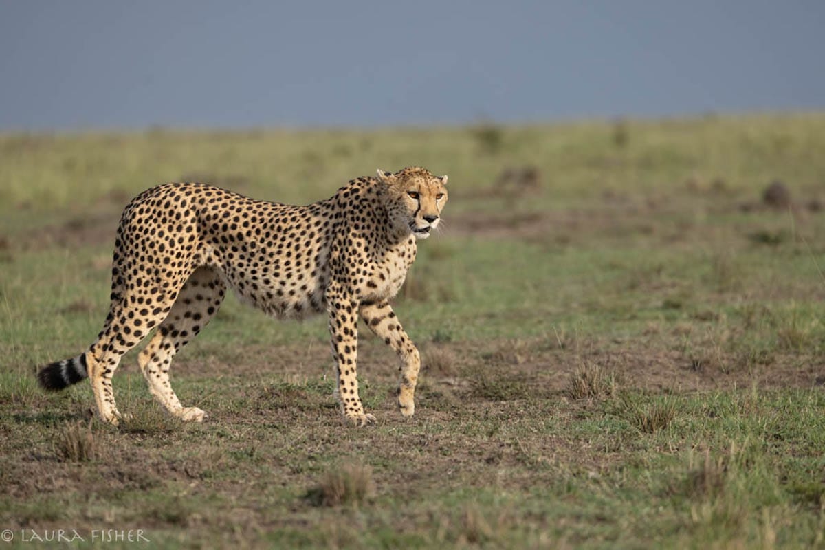KENYA — Laura Fisher