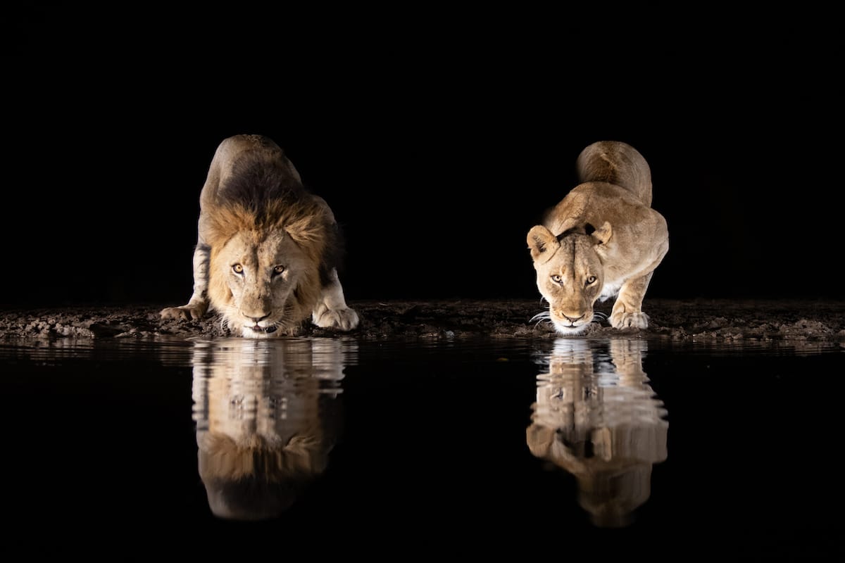 SOUTH AFRICA — Paul Brower