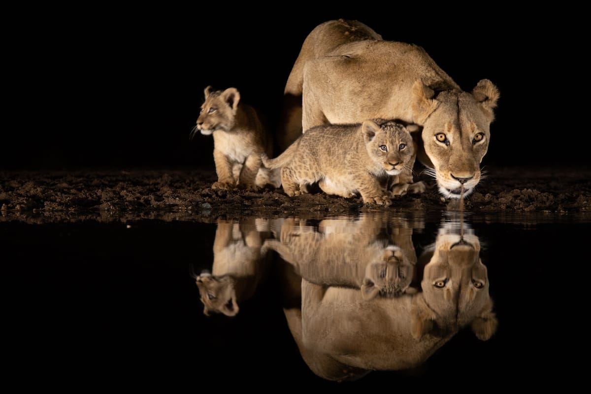 SOUTH AFRICA — Paul Brower