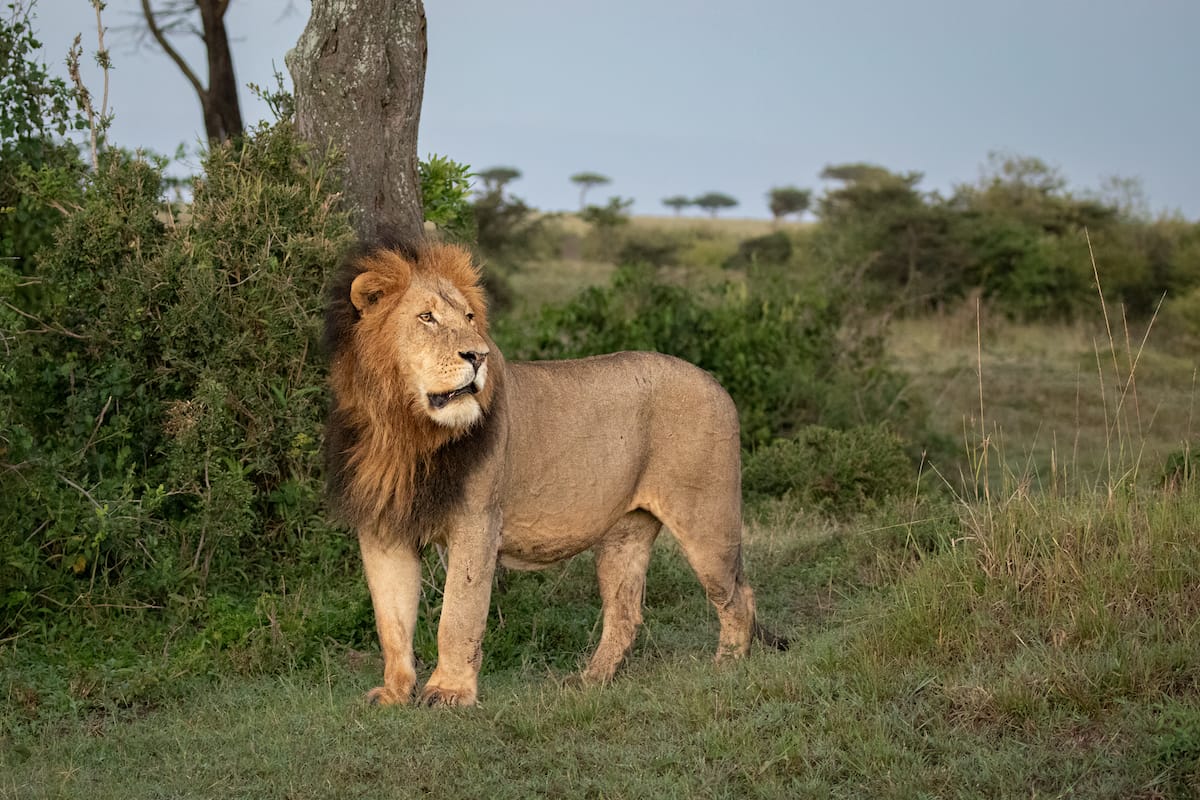 KENYA — Paul Brower