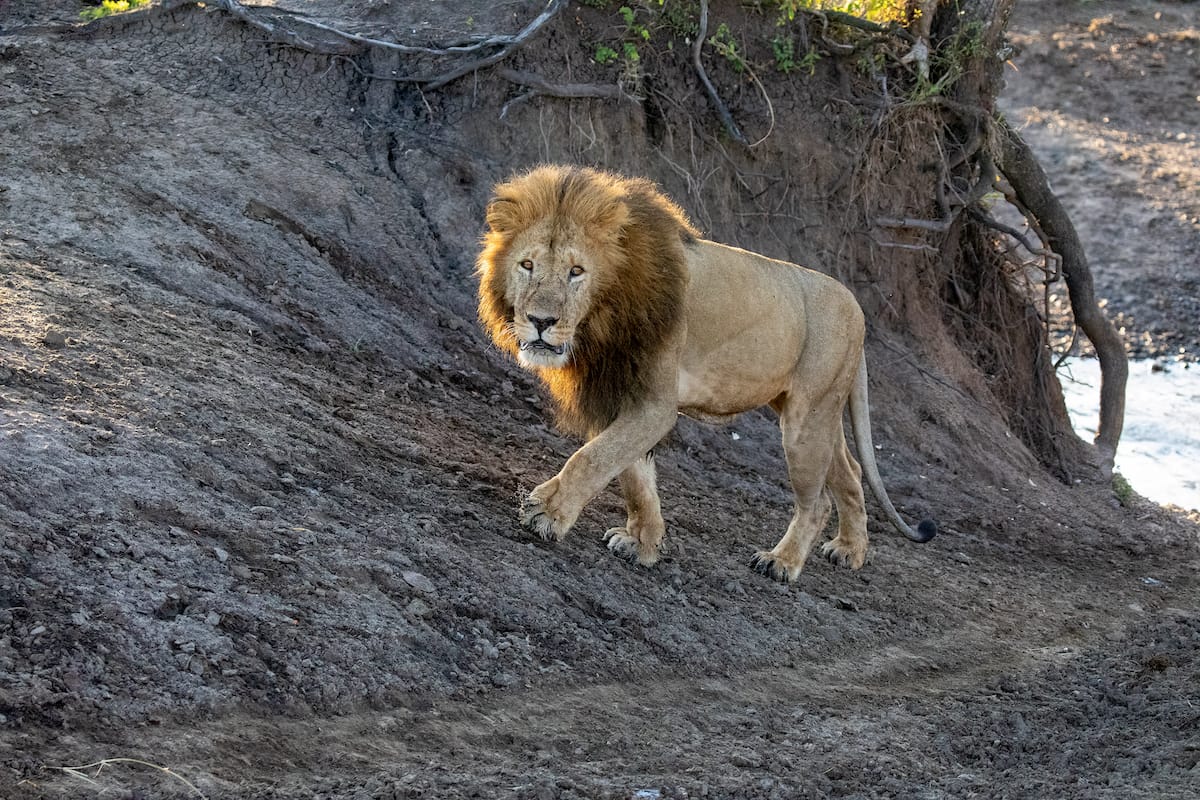 KENYA — Paul Brower