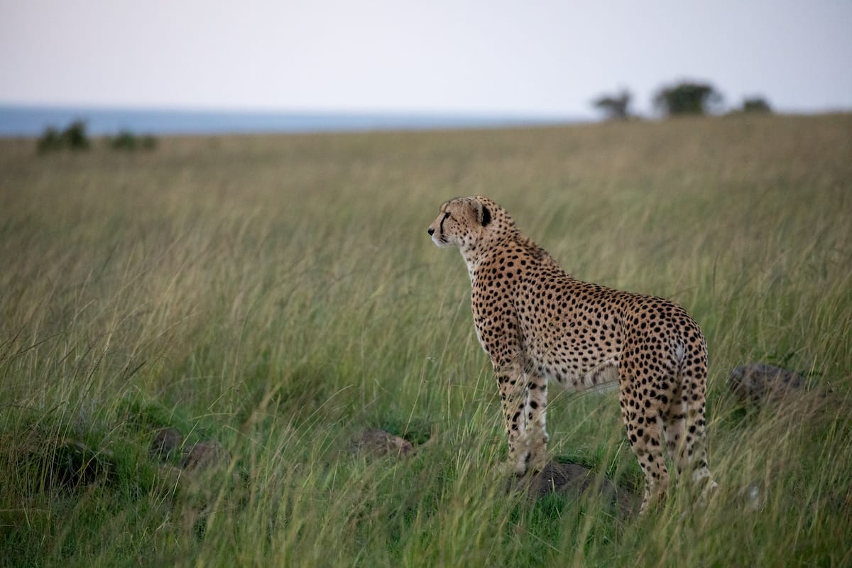 KENYA — Paul Brower
